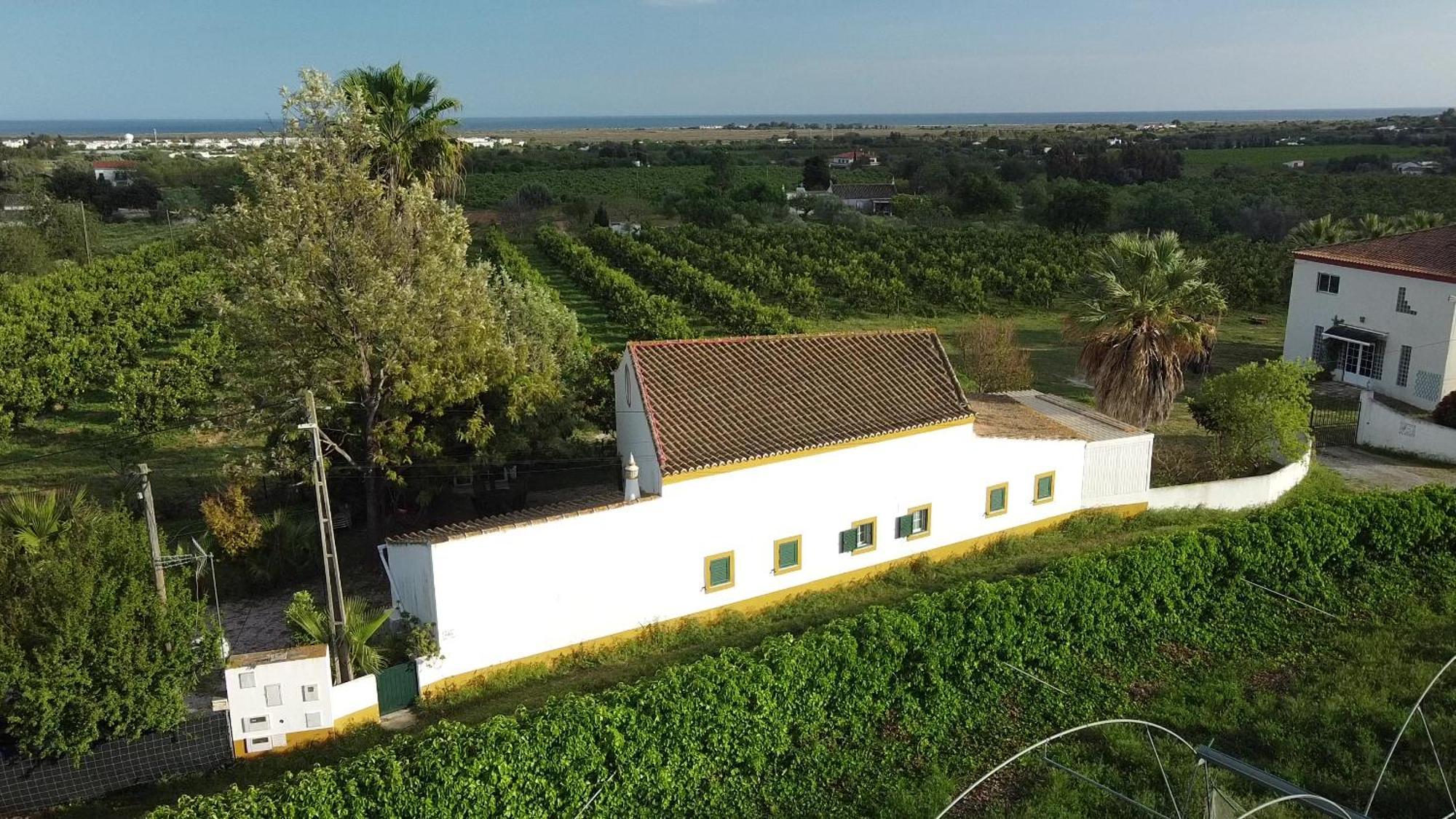 Hotel Quinta Rosa Branca Tavira Zewnętrze zdjęcie