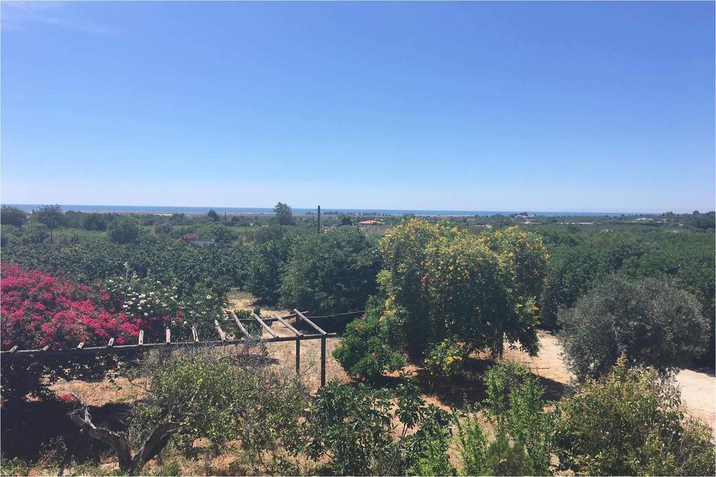 Hotel Quinta Rosa Branca Tavira Zewnętrze zdjęcie